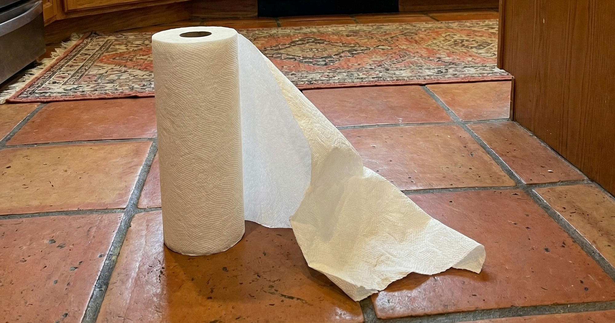 Skužila da joj mama uvijek drži papirnati ručnik na podu kuhinje. Razlog ima smisla