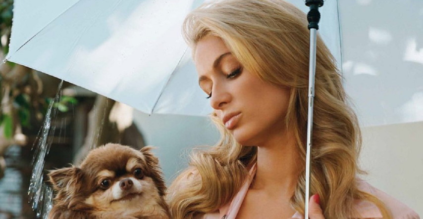 Uginuo psić Paris Hilton, doživio je čak 23 godine: "Danas mi se srce slomilo"