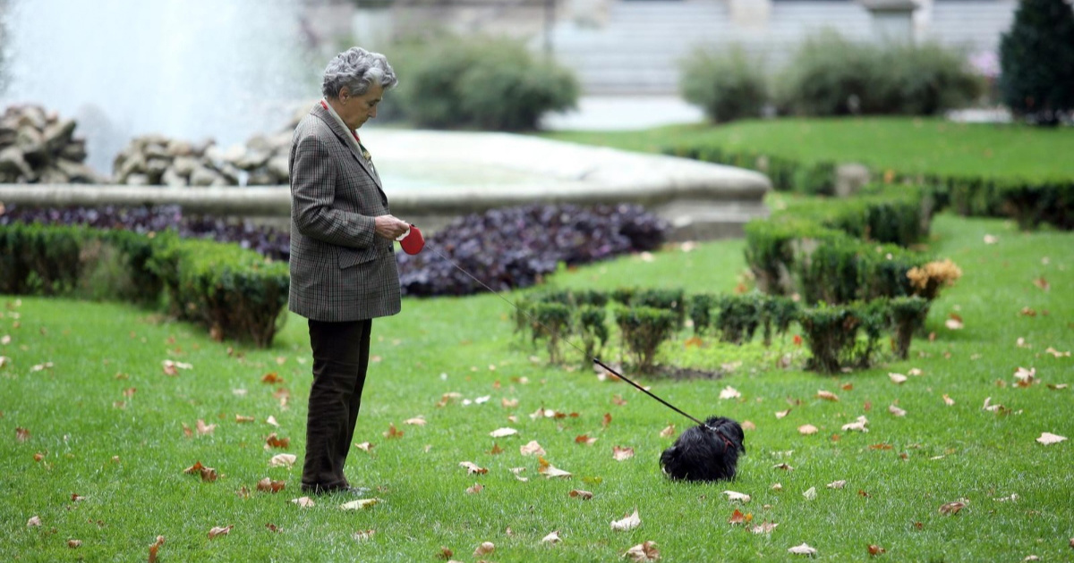 Provjerili smo koji hrvatski gradovi najviše kažnjavaju vlasnike ljubimaca