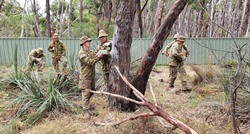 Svijet oduševile slatke fotke australskih vojnika koji brinu o stradalim koalama
