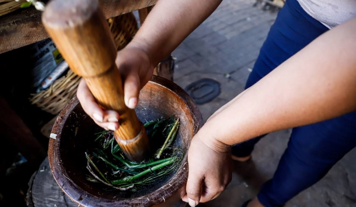 Znanstvenice istraživale tradicionalno ljekovito bilje iz Afrike, dobile su nagradu