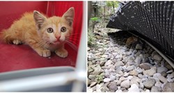 Ovaj mačić u Zagrebu doživio popriličnu pustolovinu, upao je u drenažni prostor