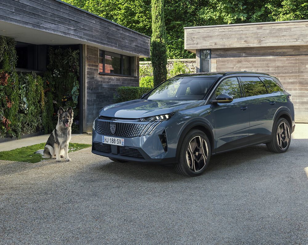 Peugeot E-5008 Dog Edition: konceptni SUV pokazuje kako se psima može ugoditi