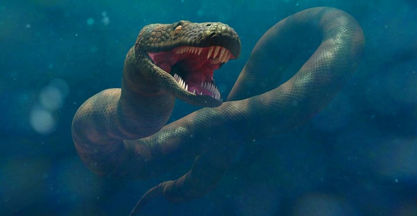 U Indiji otkriven fosil drevne divovske zmije