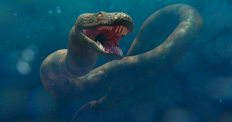 Otkrivena najveća zmija koja je ikad živjela na Zemlji, bila je dugačka kao autobus