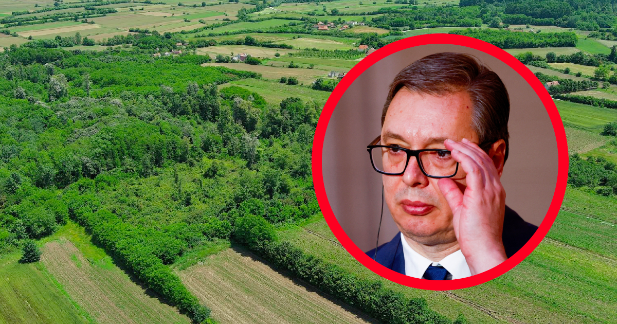 Politico: Vučić je godinama bio u psećoj kućici, a sad se vraća u središte pozornosti