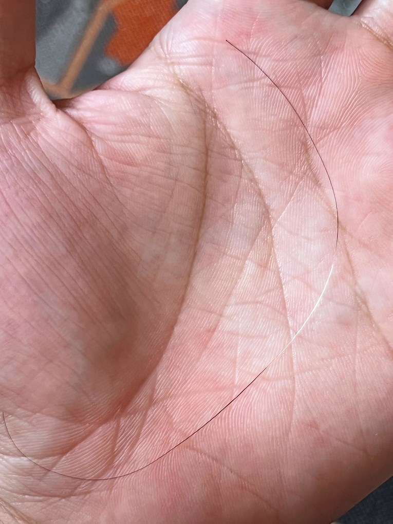 Na jednoj vlasi kose vidio se trag stresa. Internet je fasciniran