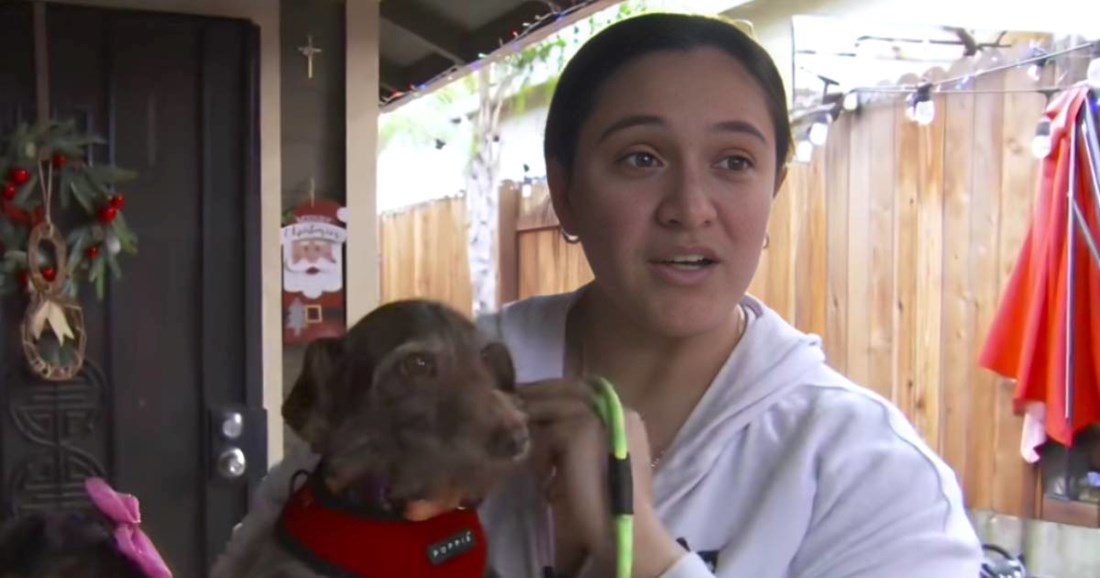 Pas Choco nestao je 2020., sada je pronađen 3700 km dalje od svoje kuće 