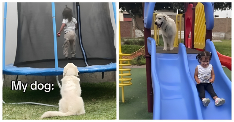 VIDEO Pas svoju malenu vlasnicu prati na svakom koraku i pazi na nju dok se ona igra