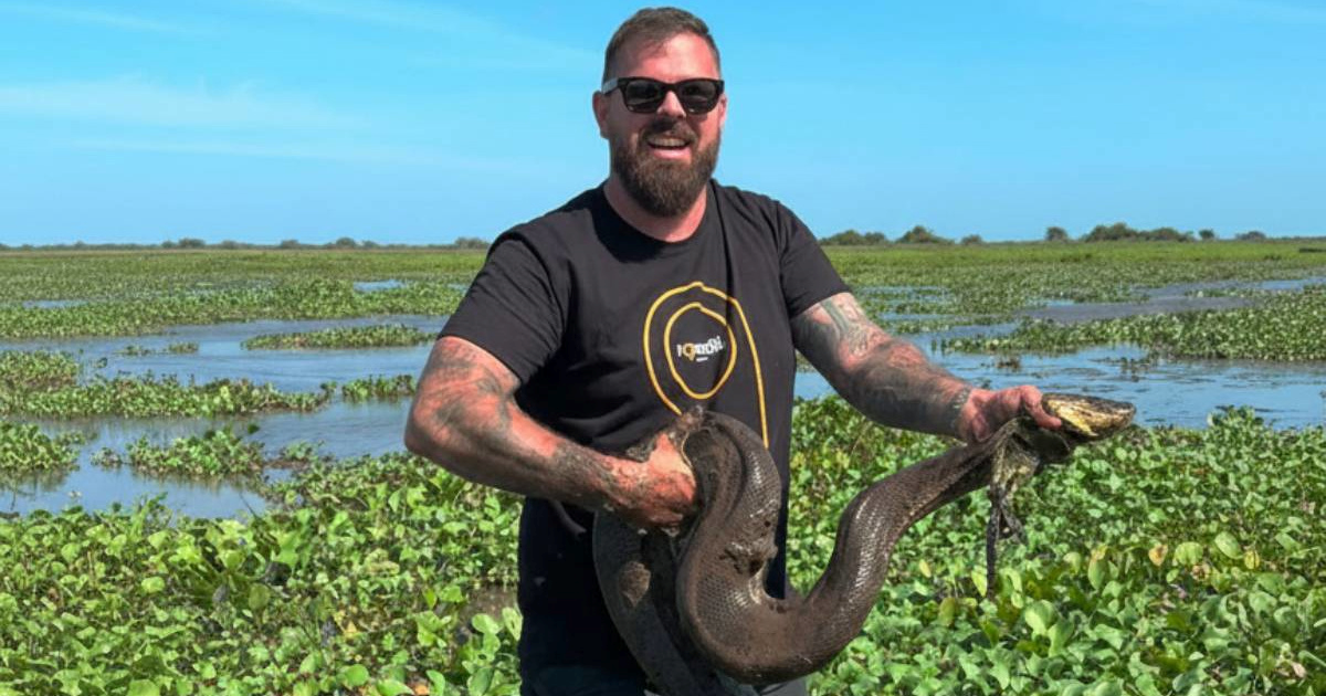 WWF obrisao objavu o prekidu suradnje s Iličićem. On: Ovdje nije riječ o zmiji