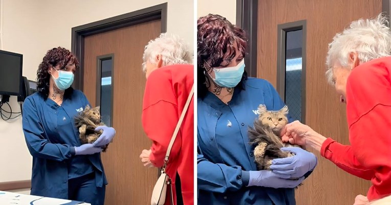 Nađena je mačka koja je nestala prije dva mjeseca u požarima u Los Angelesu