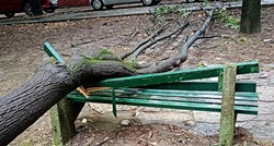FOTO I VIDEO Srušena stabla, razbijene klupice, vodopadi... Oluja poharala Beograd