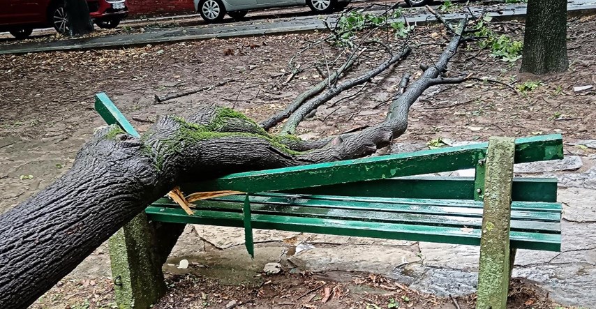 FOTO I VIDEO Srušena stabla, razbijene klupice, vodopadi... Oluja poharala Beograd