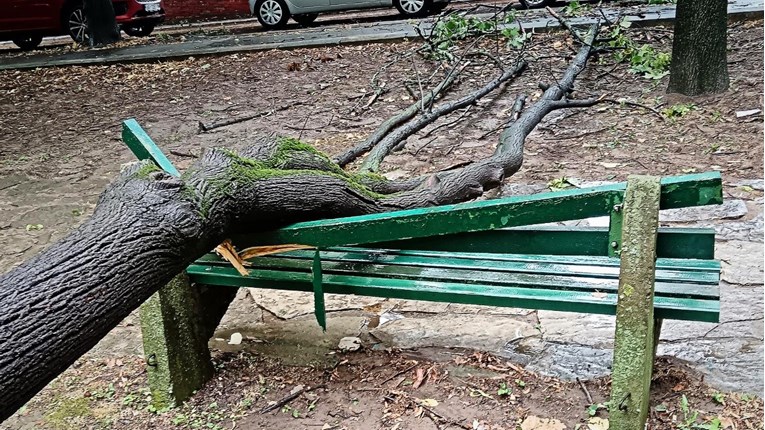 Oluja u Beogradu rušila stabla, stvarala vodopade. Gradonačelnik: To je nova realnost