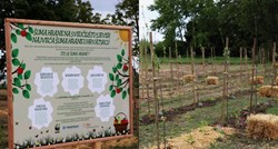 U Koprivnici posađena najveća šuma hrane u Hrvatskoj, ima više od 900 sadnica