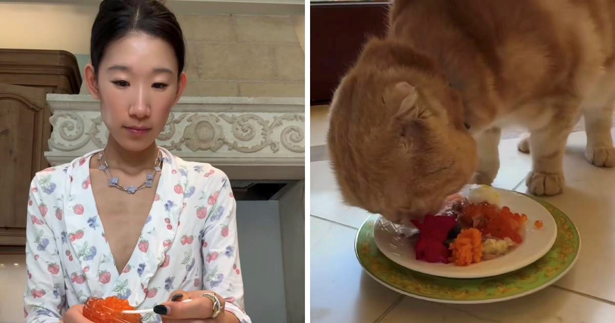 Influencerica dala ma&#x10D;ki kavijar i sashimi od lososa za doru&#x10D;ak