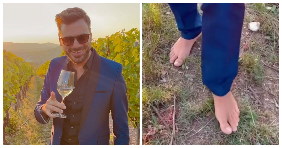 Ljudi pišu da im je neugodno u Hauserovo ime zbog ovog videa iz vinograda