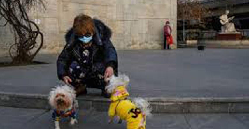 Pas u Kini je blago pozitivan na koronavirus. Čekaju se konačni nalazi