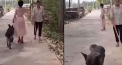 Pas ugledao slijepca pa pomaknuo granu s puta kako bi on mogao proći