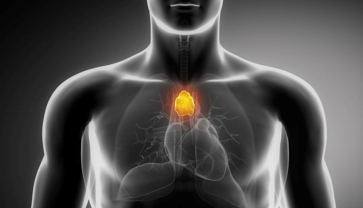 Ovaj "beskoristan" organ liječnici nekad uklanjaju. Možda se bori protiv raka