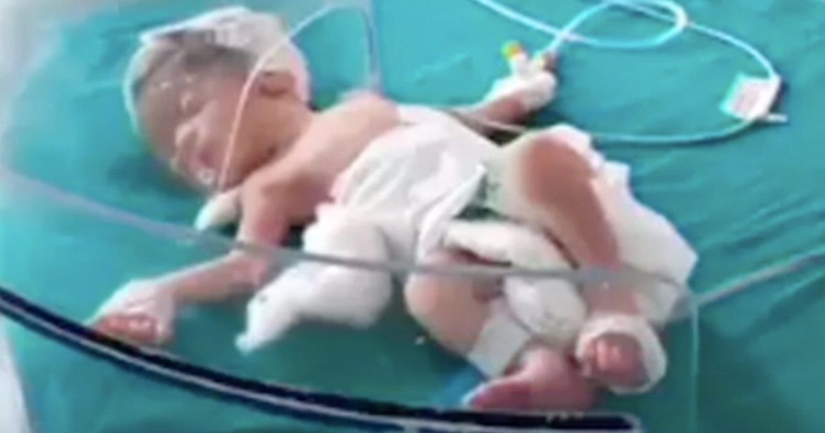 Psi lutalice spasili bebu koju je mama bacila u kanalizacijski odvod