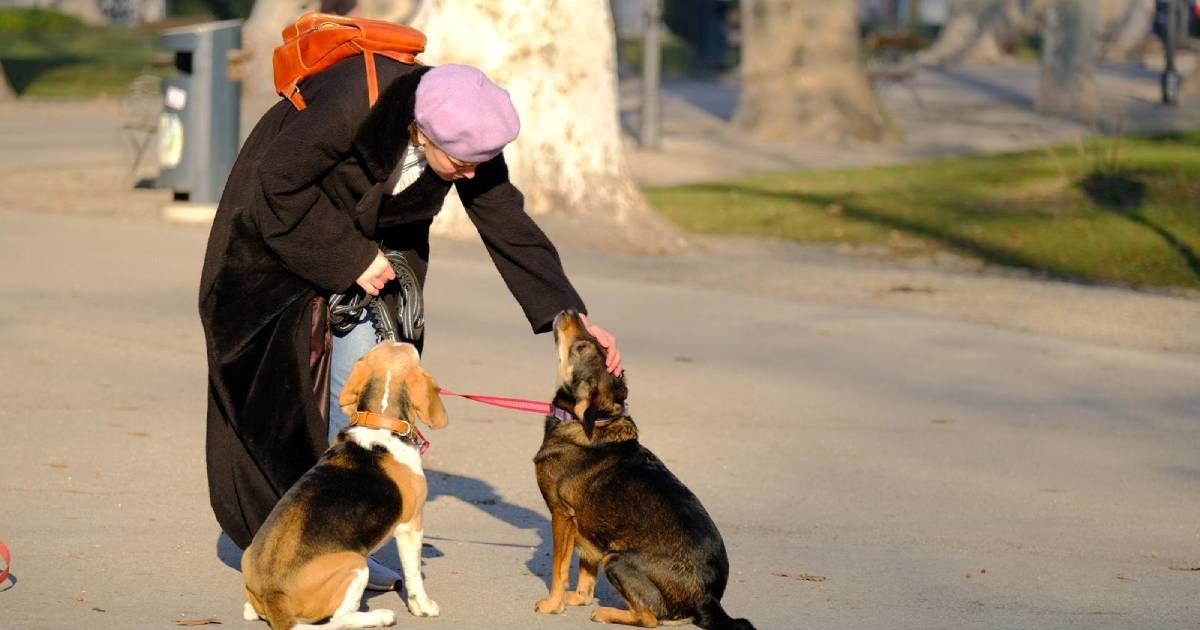 Kažnjena je sa 113 eura jer nije imala vrećicu u šetnji, iako pas nije obavio nuždu