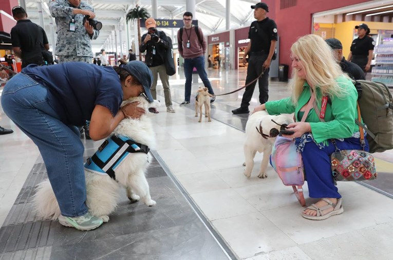 Bivši partneri u Brazilu dijelit će skrbništvo nad ljubimcima