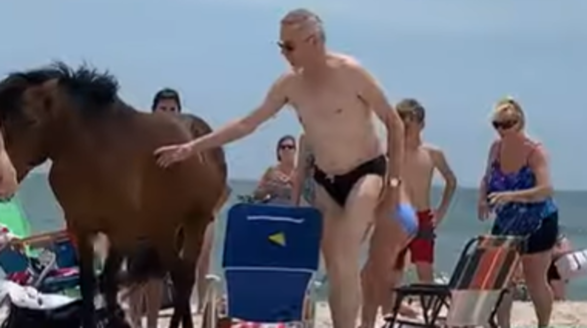 Htio je silom pomaziti divljeg konja pa dobio kopitom u međunožje