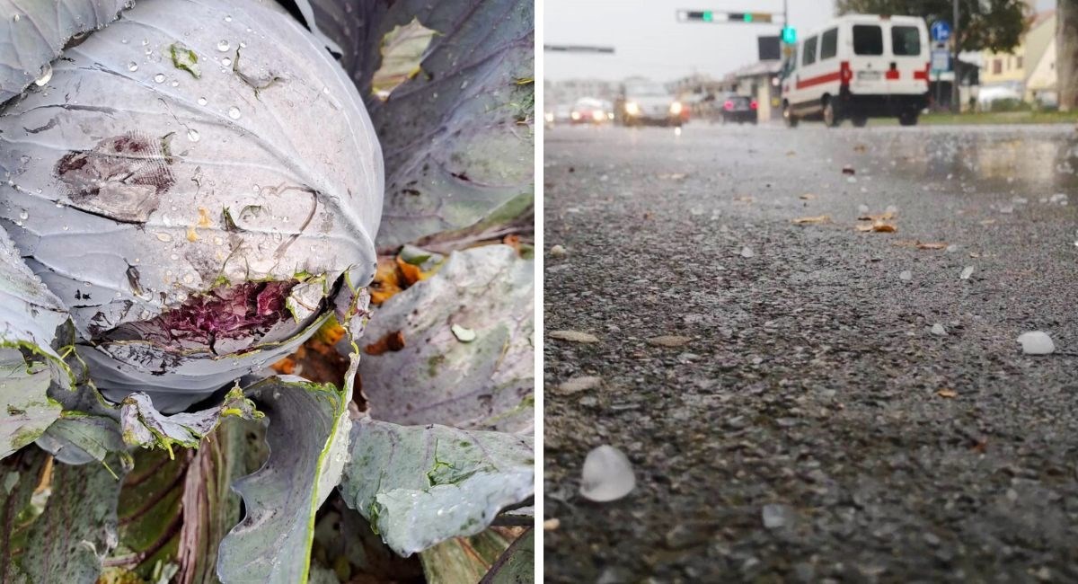 Jako nevrijeme u Bjelovaru. Ženi tuča napravila ogromnu štetu na OPG-u: "Katastrofa"