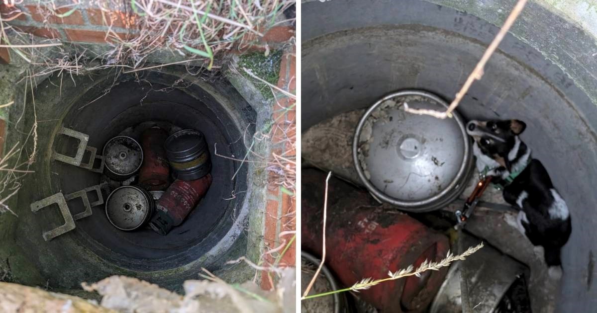 Nestali pas pronađen u bunaru nakon 11 dana, vatrogasci su ga izvukli na sigurno