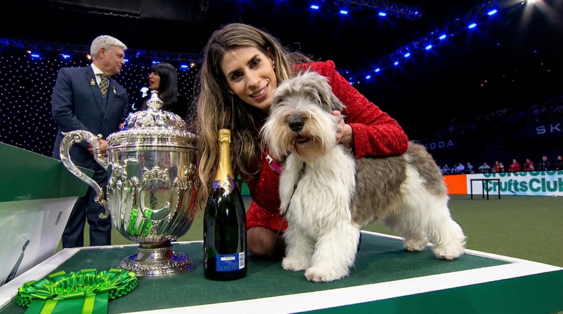 Meghan iz Hrvatske je drugi najljepši pas na svijetu