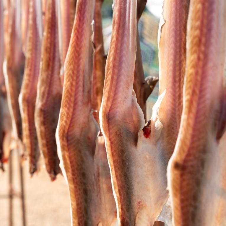 I Hrvati imaju deliciju u rangu norveškog bakalara, evo o kojem je jelu riječ