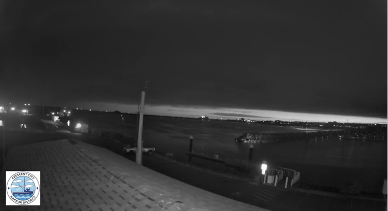 Seizmologinja: Valovi će oštetiti luke, ali bez ljudskih žrtava u Americi