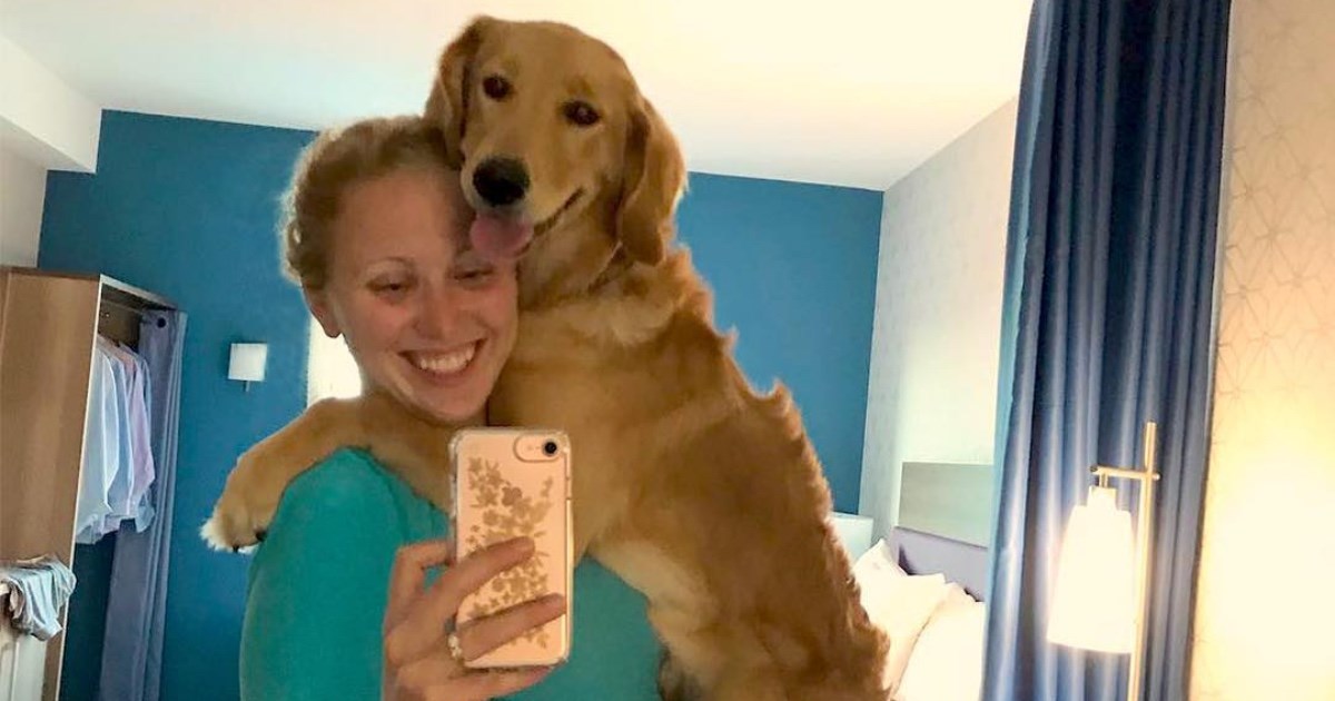 Tijekom boravka u ovom hotelu možete udomiti psa