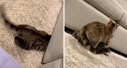 Mačak se zavukao pod kauč, spasila ga cimerica
