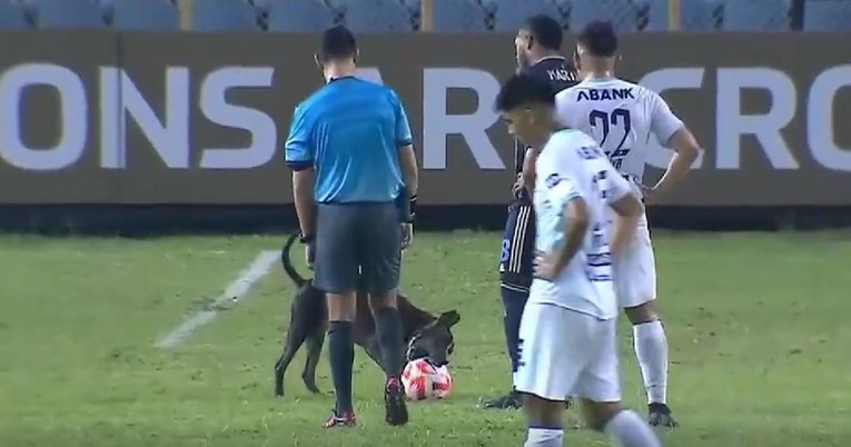 VIDEO Pas utrčao na teren i uzeo loptu nogometašima
