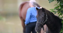 U Sisku spašeni konji za terapijsko jahanje, poplava im uništila štale i zalihe hrane