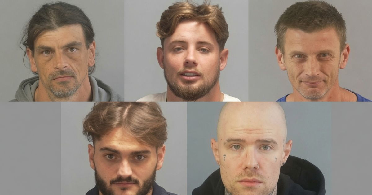 Petorica Britanaca osuđena zbog nasilja na prosvjedima zbog Henrya Nowaka