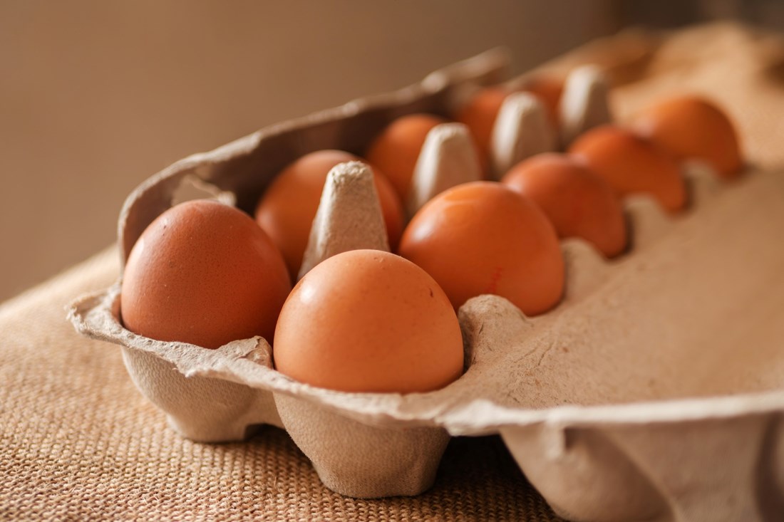Koliko dugo jaja smiju biti izvan hladnjaka?