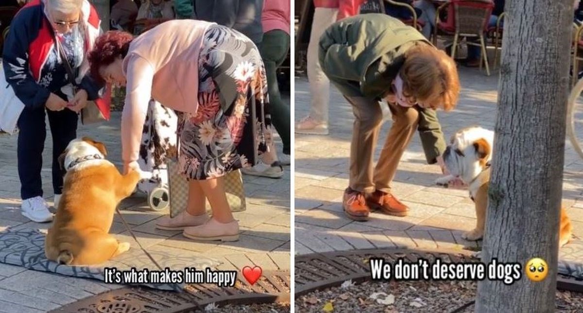 Pas svaki dan sjedi ispred dućana svoje vlasnice i "rukuje" se s kupcima