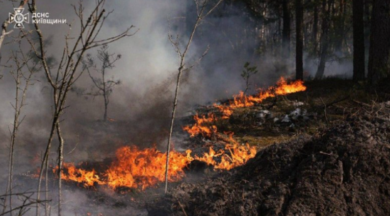 VIDEO Požar u Černobilu. Vatra zahvatila 1100 hektara nakon pada drona