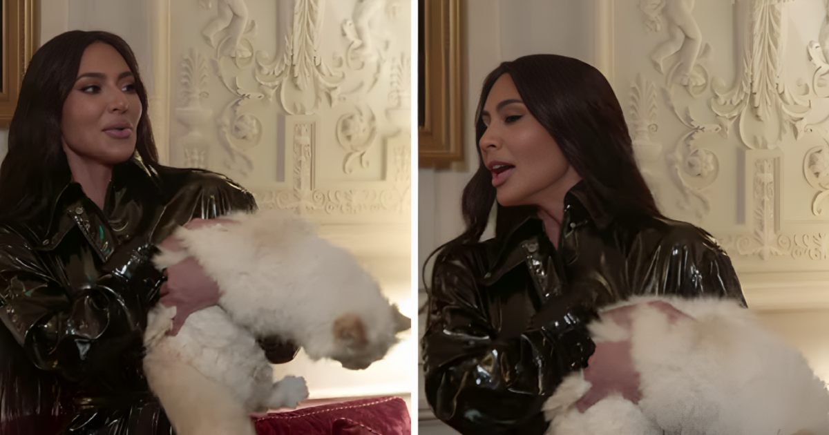 Kim Kardashian htjela voditi Choupette na Met Galu. Mačka zarežala i ogrebla je