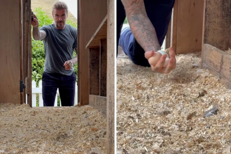 Fanovi ne mogu vjerovati čime se danas bavi David Beckham: "Provjeravam svoje kokoši"