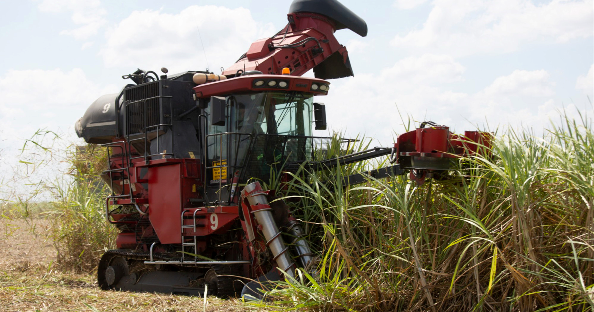 Naglo porasle globalne cijene ulja i šećera