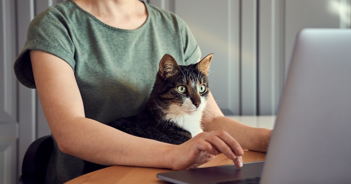Mačka je stalno u vašoj blizini dok radite? Evo što bi mogao biti uzrok tome