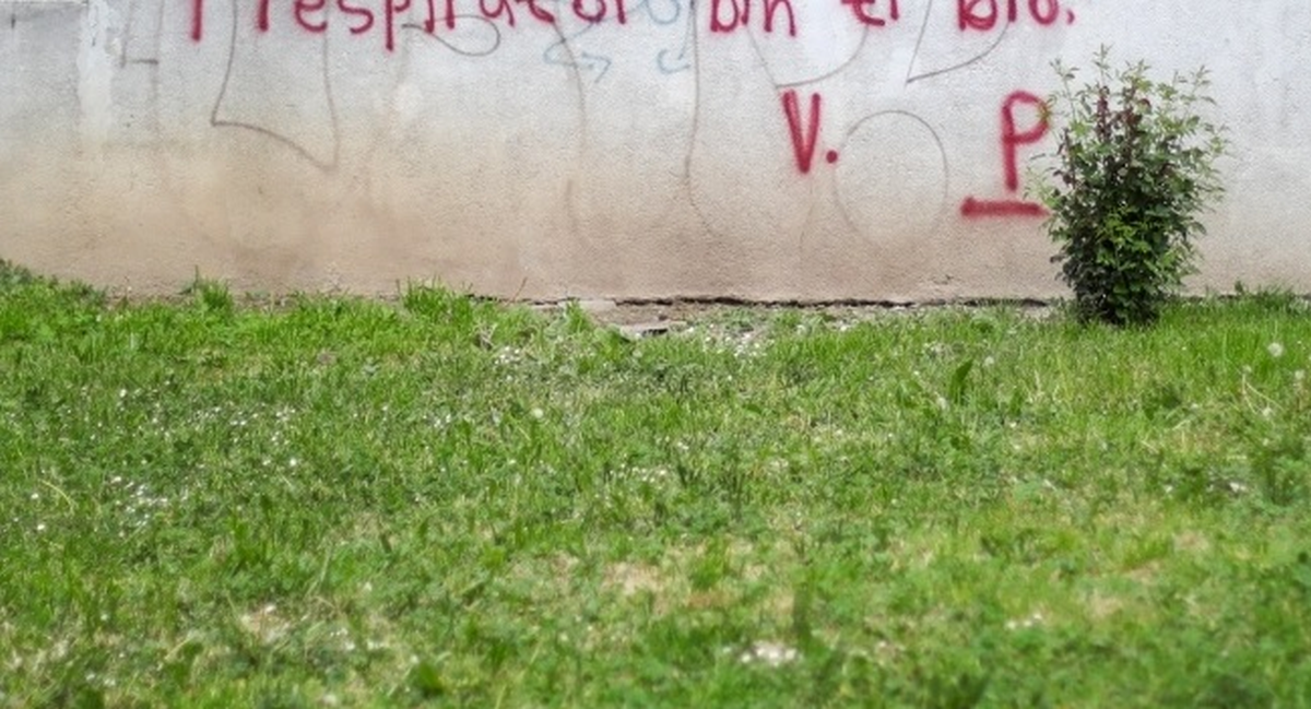 Grafit pokazao kako izgleda ljubav u doba korone na Balkanu: Respirator bih ti bio