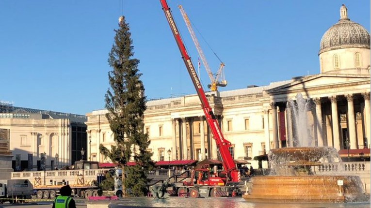 Je li ovo najtužnije božićno drvce na cijelom svijetu?