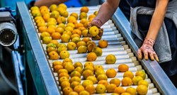 Opasni pesticid pronađen u mandarinama u voćnjaku u Hrvatskoj. Nisu bile u prodaji