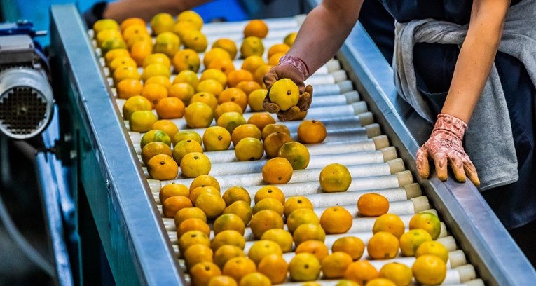 BiH zabranila uvoz dvije tone mandarina iz Hrvatske. Poznato je i zašto