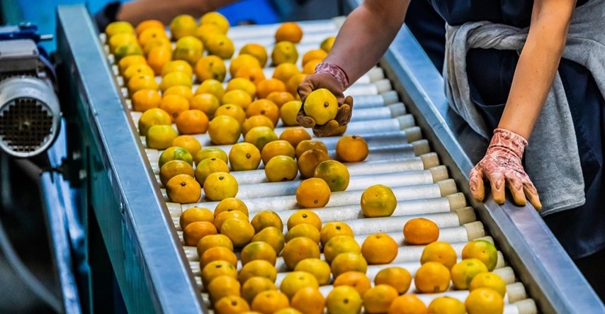 BiH zabranila uvoz dvije tone mandarina iz Hrvatske